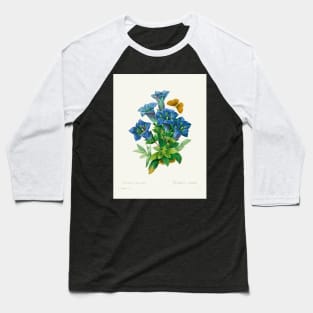 Gentiana - Botanical Illustration Baseball T-Shirt